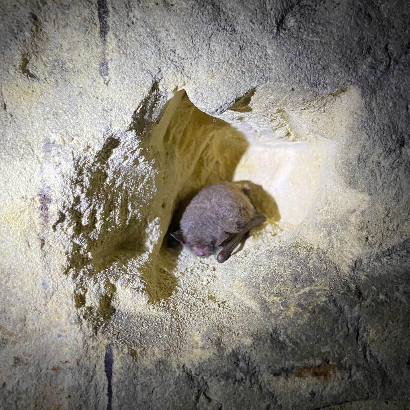 Foto 11-01-2020 15 05 16.jpg